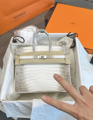 最高級エルメススーパーコピー バーキン25コピー バーキン25 ヒマラヤ クロコダイル ニロティカスマット シルバー金具 photo review