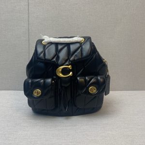 コーチ リュック レディース 人気