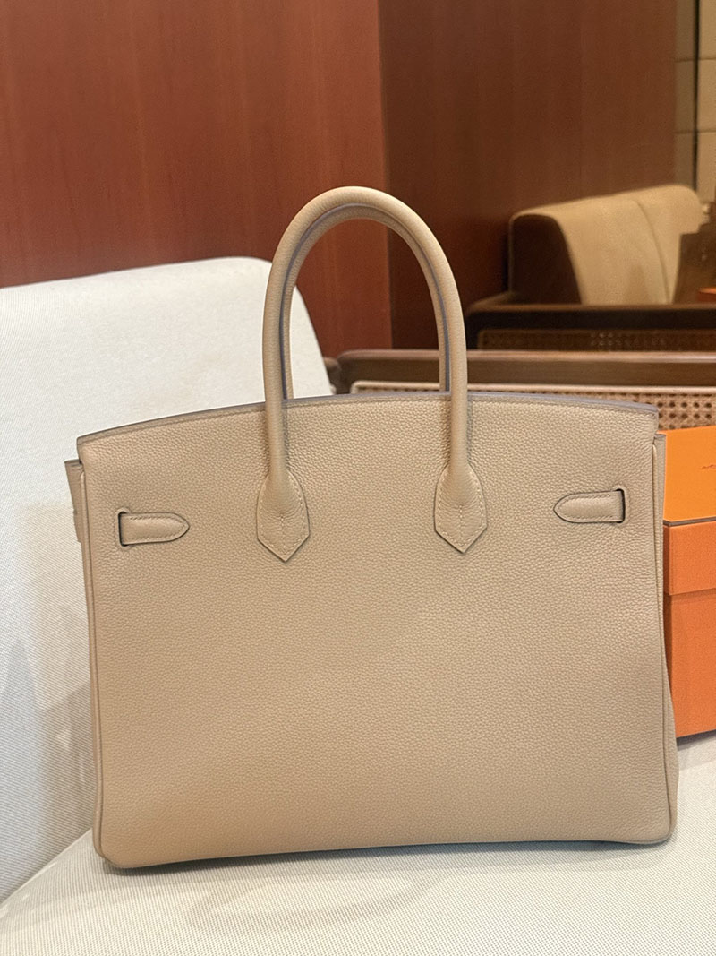 エルメスコピー HERMES バーキン35 トゥルティールグレー トゴ ゴールド金具 2524003 バーキン風バッグ 持ってる人 - 画像 (5)