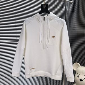 メンズ アークテリクス パーカー