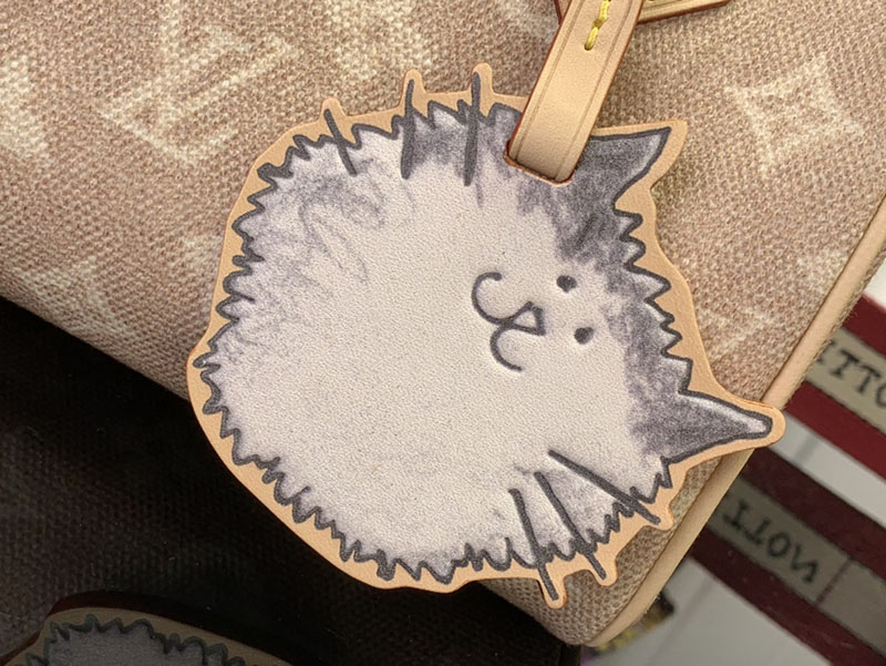 最高級ルイヴィトンスーパーコピー Louis Vuitton スピーディ・バンドリエール 20 トゥルトレール M15151 ルイヴィトン スピーディ 新作 - 画像 (9)