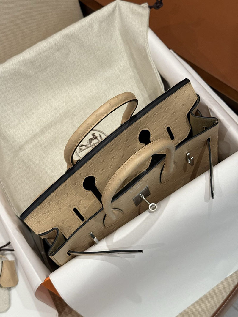 エルメス バーキン25 定価 HERMES バーキン25 チャイ オーストリッチ シルバー金具 2627489 エルメス専門店 おすすめ - 画像 (7)