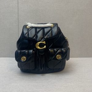 レディース コーチ リュック