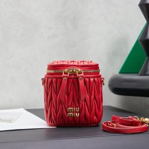 ミュウミュウ バッグ 芸能人