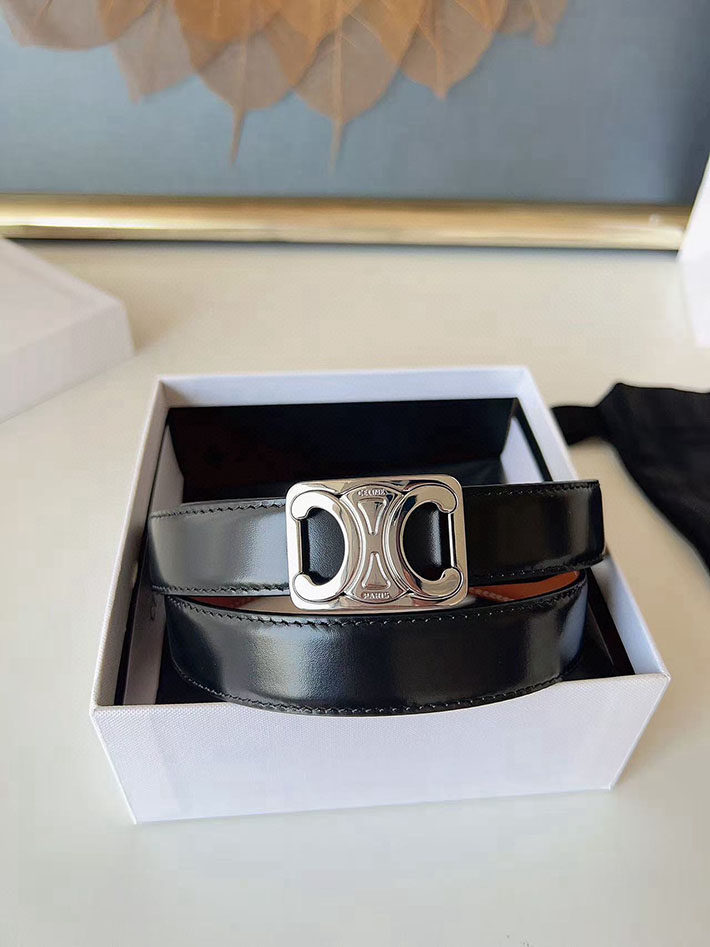 最高級セリーヌスーパーコピー CELINE ナローベルト レディース Medium 25MM ミディアム トリオンフ 2632541 セリーヌ ベルト 安い - 画像 (7)